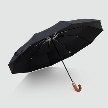Luxury Wooden Windproof Fully Automatic Umbrella
