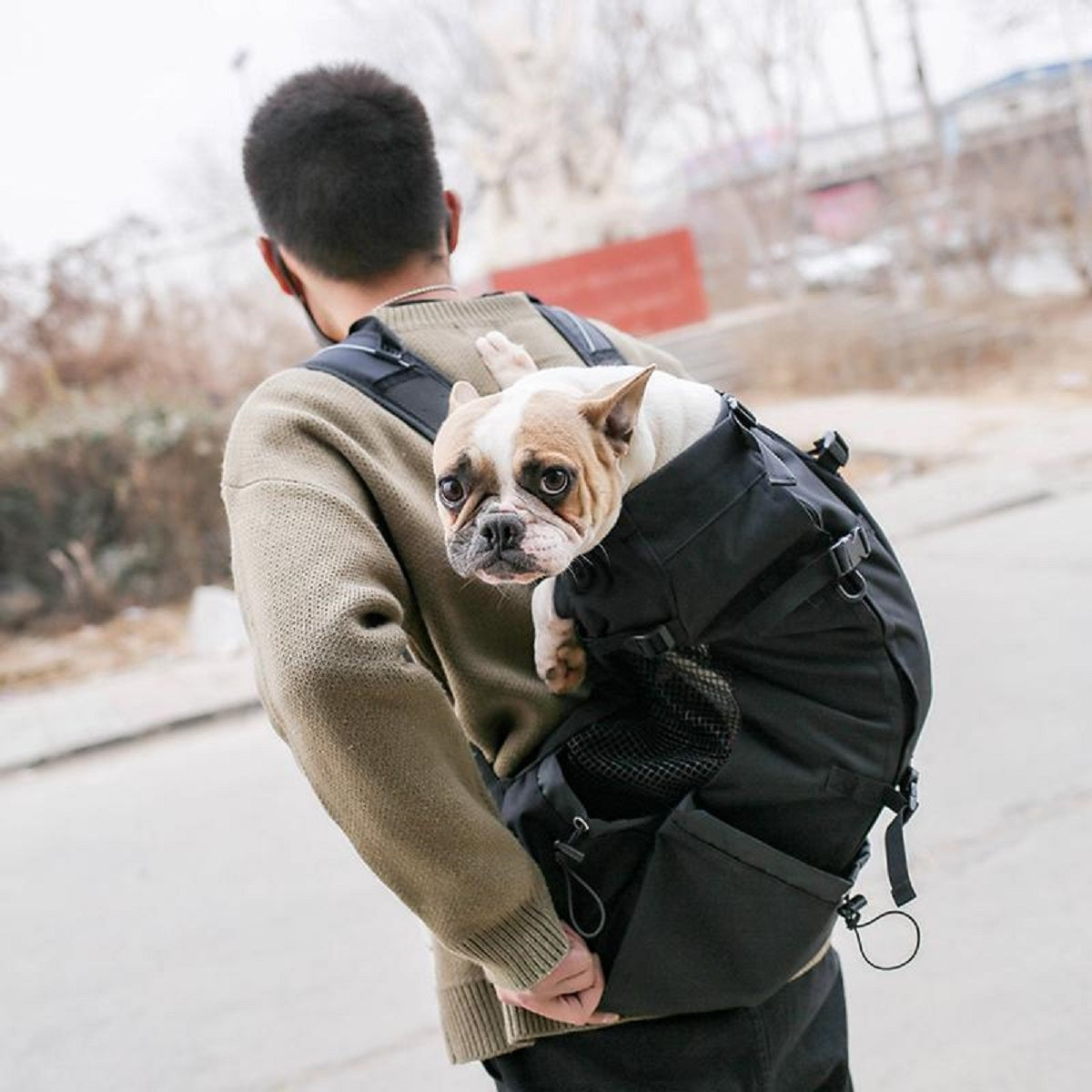 Dog Carrier Backpack for Most Dog Sizes