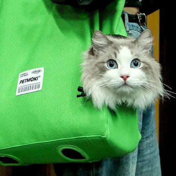 Portable Breathable Bag Walk Design  Cat Dog Carrier