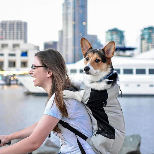 Dog Carrier Backpack for Most Dog Sizes