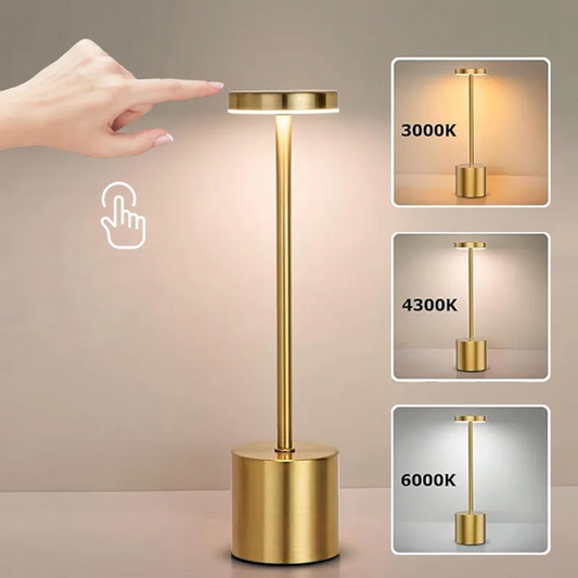 LED Touch Sensor Metal Desk Lamp