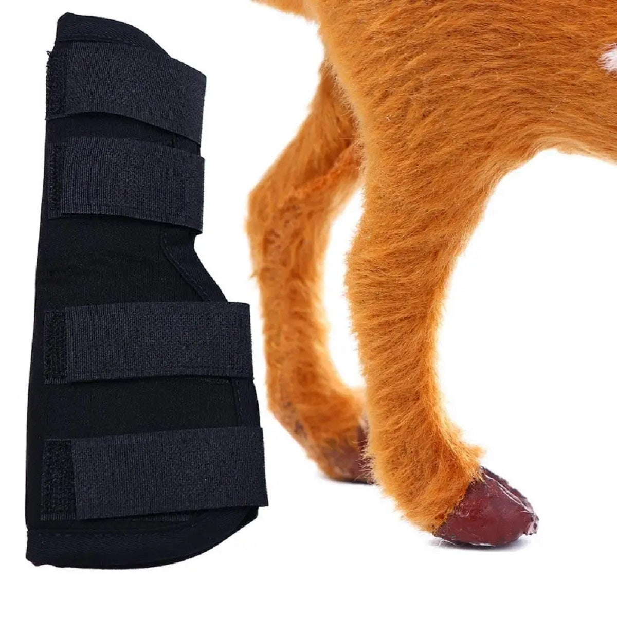 Dog Knee Brace Bandage Set – Rear Leg Joint Support Wrap