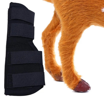 Dog Knee Brace Bandage Set – Rear Leg Joint Support Wrap