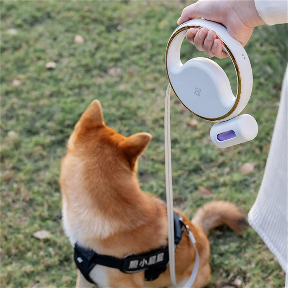 Dog Leash Automatic Retractable with Flash Light Pet Leash