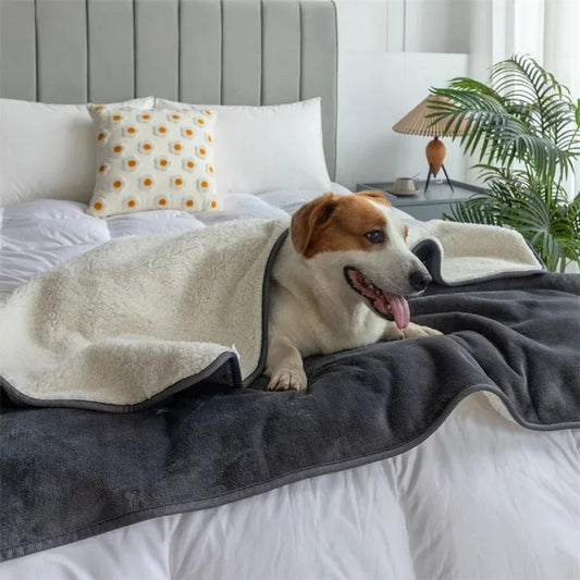 Premium Waterproof Pet Blanket – Dog and Cat Throw in Slate Grey