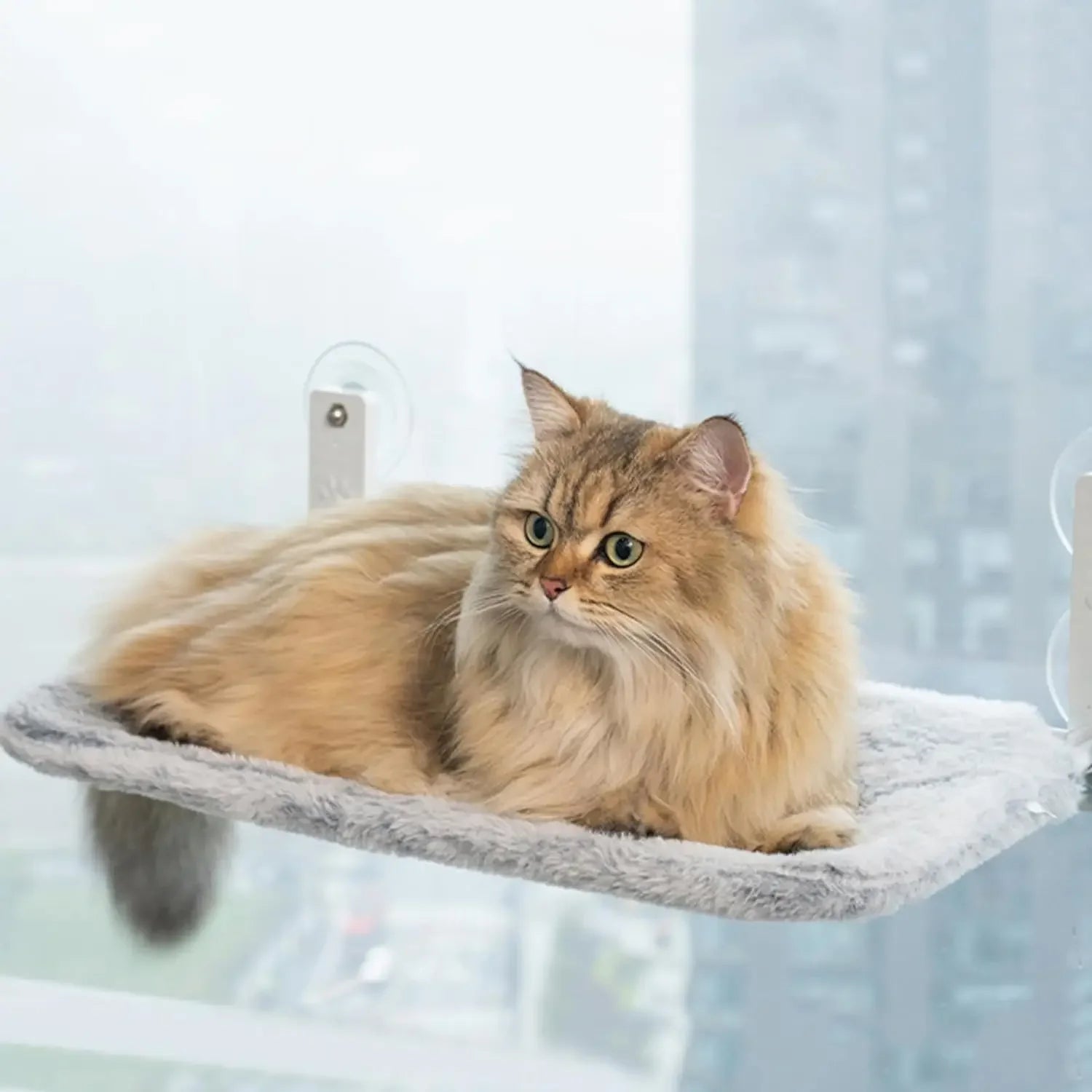 Foldable Cat Window Perch Cat Bed Window Hammock