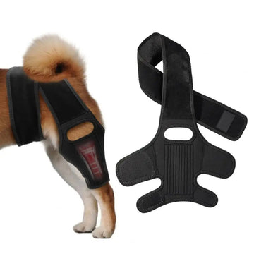 Adjustable Dog Knee And Hip Brace – Rear Leg Support for ACL Injury