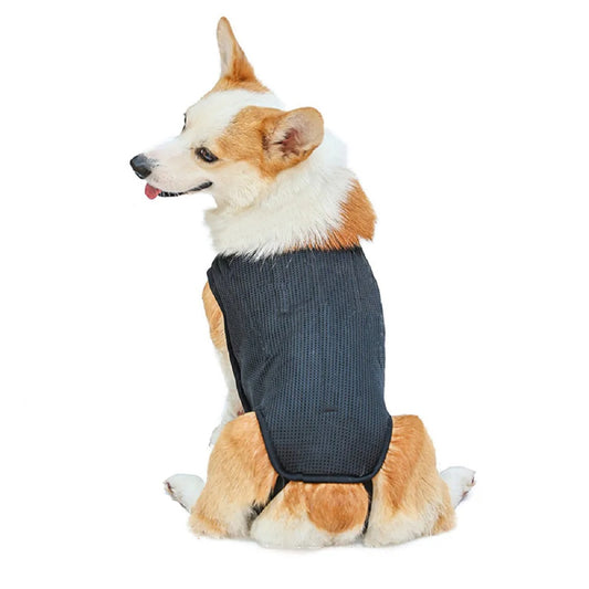 Dog Back Brace Vest – IVDD Recovery Support Harness for Pain Relief