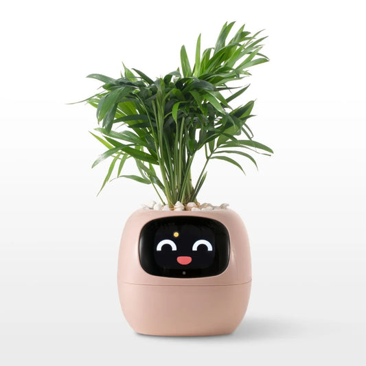 Ivy Smart Planter – AI-Powered Pot with Smart Sensors and Expressive Animations