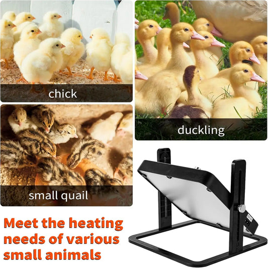 Pet Brooder Heater – Smart Heating Plate with Temperature Control