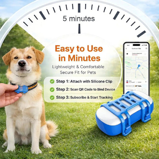 4G GPS Pet Tracker for Dogs Cats Real-Time Waterproof Tracking Collar with SIM