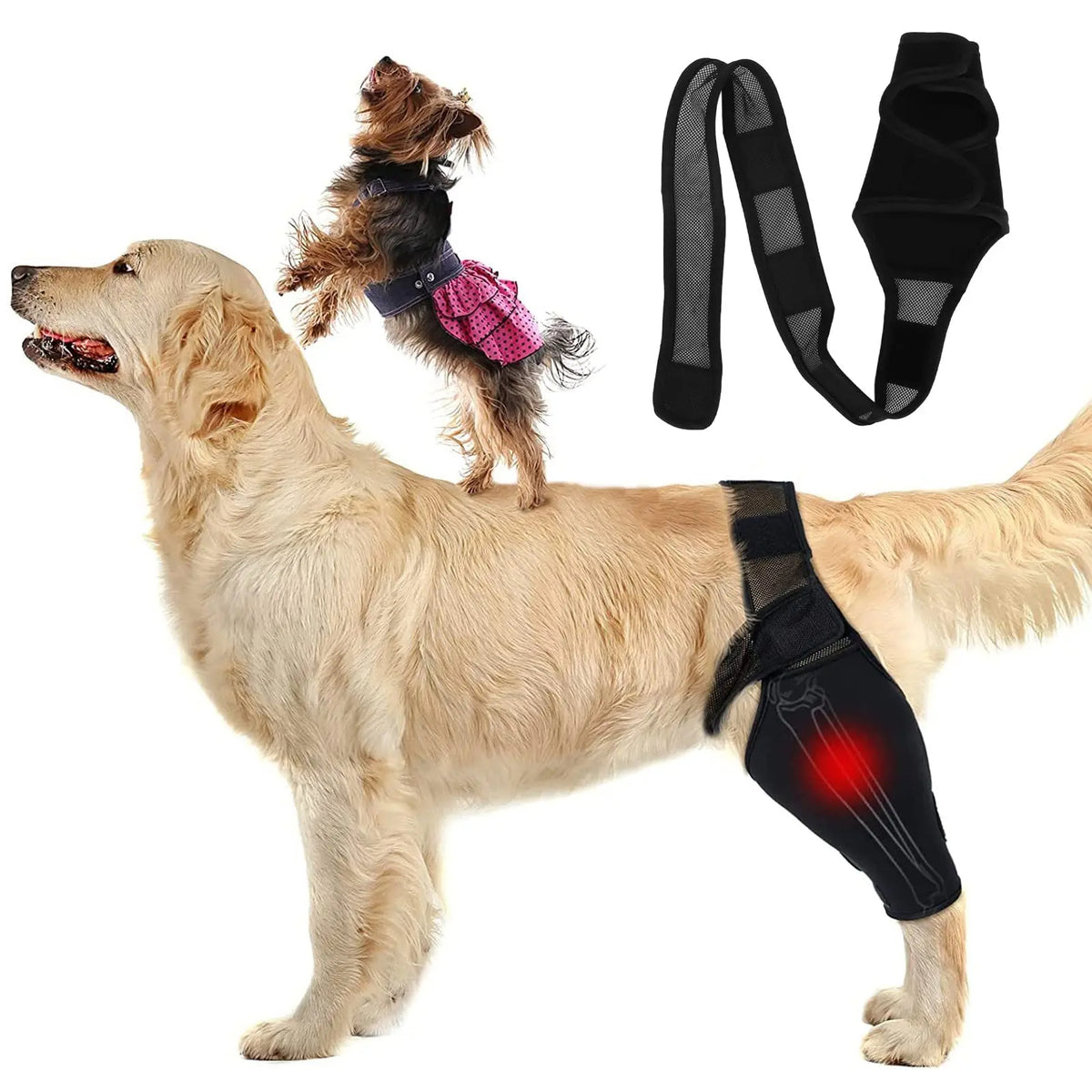 Dog Knee Brace – Rear Leg Support for Joint Pain & Injury