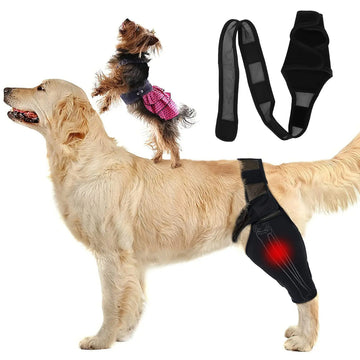 Dog Knee Brace – Rear Leg Support for Joint Pain & Injury