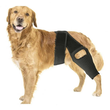 Dog Rear Leg Knee Brace – Adjustable Support for ACL Injury and Arthritis