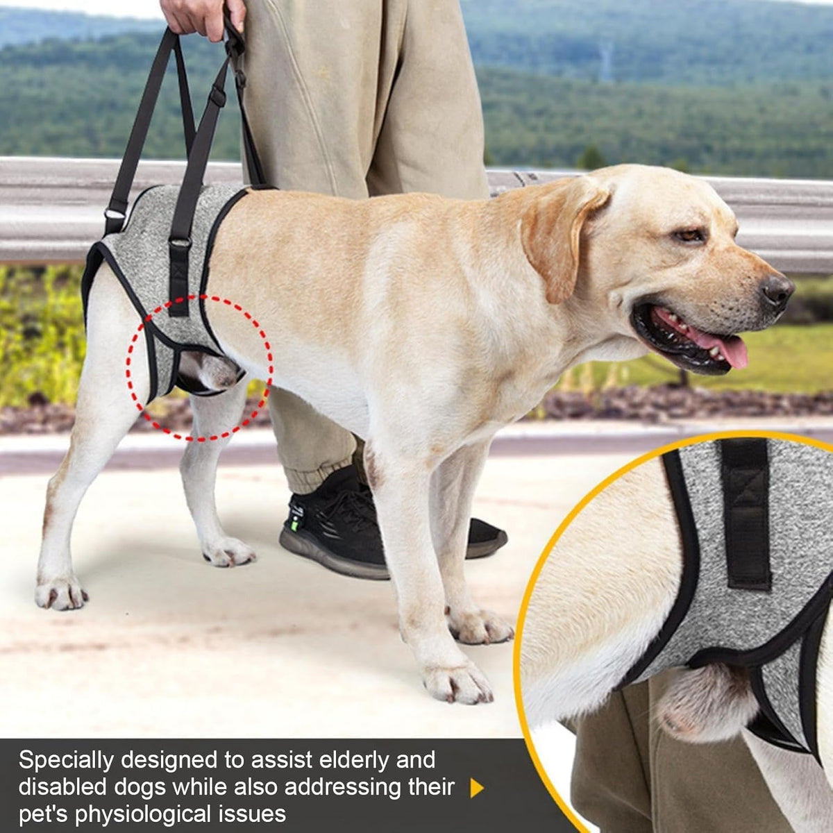 Dog Rear Harnesses Adjustable Dog Rear Lift Harness - Soft Padded Back Leg Support Sling