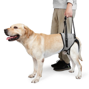 Adjustable Dog Rear Lift Harness - Soft Padded Back Leg Support Sling for Large Dogs