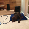 Electric pet dog heating pad