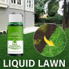 Liquid turf grass seed sprayer growth-boosting