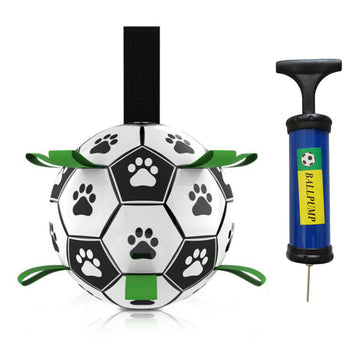 Interactive Pet Training Toy Ball blxcknorway™
