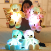 30CM Luminous Plush Teddy Bear BLXCK NORWAY™
