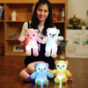30CM Luminous Plush Teddy Bear BLXCK NORWAY™